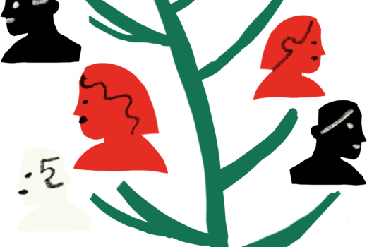 donor-stamboom.png